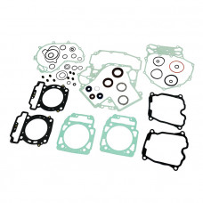 Полный комплект прокладок BRP P400089900002 Полный комплект прокладок BRP P400089900002