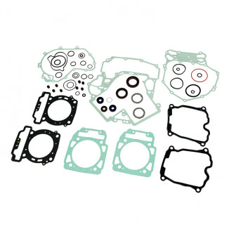 Полный комплект прокладок BRP P400089900002