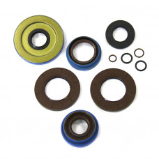 Комплект сальников редуктора Polaris AT-03D11 Комплект сальников редуктора Polaris AT-03D11