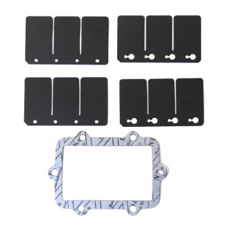 Ремкомплект лепесткового клапана BRP SM-07161C