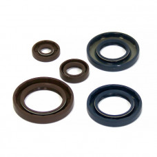 Комплект сальников двигателя BRP P400089400001 Комплект сальников двигателя BRP P400089400001