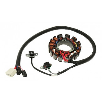 Статор Polaris SM-01356