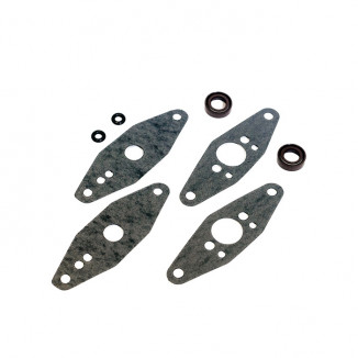 Комплект прокладок RAVE клапана Arctic Cat 09-719103