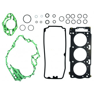 Полный комплект прокладок BRP 1503 (без сальников) P600440850951