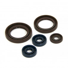 Комплект сальников двигателя BRP P400089400002 Комплект сальников двигателя BRP P400089400002