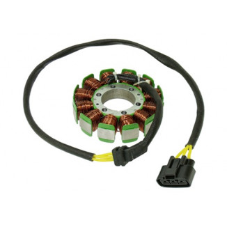 Статор BRP SM-01364