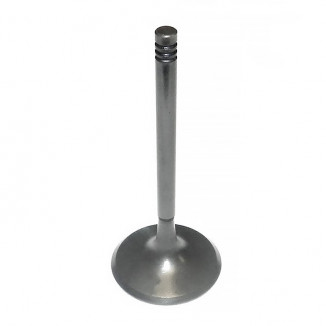 Впускной клапан BRP 1503 010-005