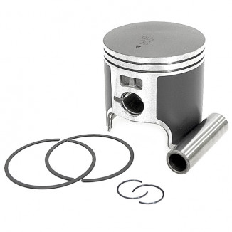 Поршень Polaris 550F (T-Moly, номинал) SM-09256