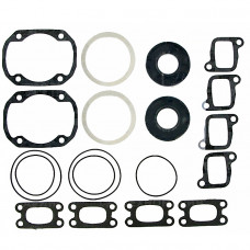 Полный комплект прокладок BRP 503F 09-711196 Полный комплект прокладок BRP 503F 09-711196