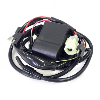 Катушка зажигания BRP 01-143-45