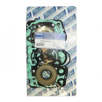 Полный комплект прокладок BRP 951DI 007-625