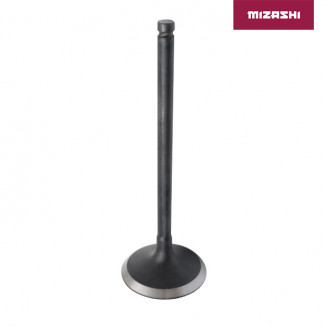 Впускной клапан BRP AT-MZ1118