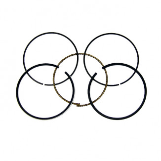 Поршневые кольца BRP 600/900 ACE (+0.25мм) 010-964-04