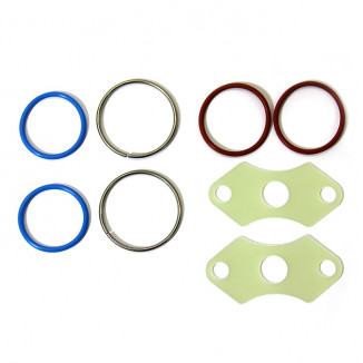 Комплект уплотнений инжектора BRP SM-07394